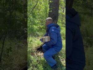 Весняна пероральна кампанія з імунізації диких м'ясоїдних тварин на Полтавщині