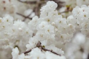 Новини культури - Гороскоп для знаків зодіаку на 25 квітня 2025 року