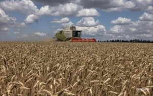 Новини бізнесу - ООН озвучила невтішний прогноз щодо врожаю в Україні