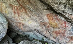 У Бразилії випадково знайшли 3000-річні наскельні малюнки