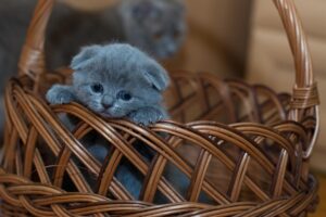 Гороскоп для знаків зодіаку на 13 травня 2025 року
