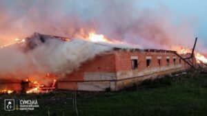 На Сумщині загинули сотні свійських тварин через російську атаку