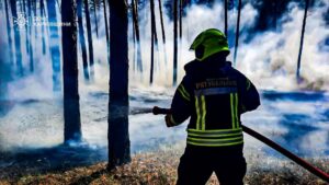 Рятувальники ліквідували п’ять лісових пожеж на Харківщині