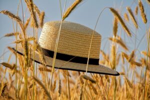 Гороскоп для всіх знаків зодіаку на 19 червня 2025 року