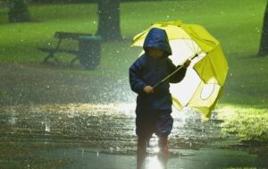 Температура у Києві в травні була на 2,2° нижчою за кліматичну норму