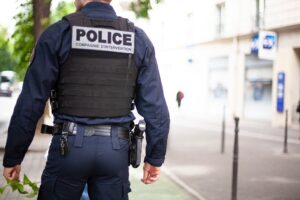 У Франції поліція другу добу шукає удава, що втік з тераріуму