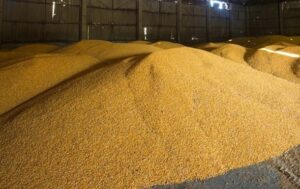Україна пригрозила санкціями Бангладеш