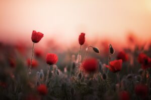 Україна зустріне літо грозами та спекою