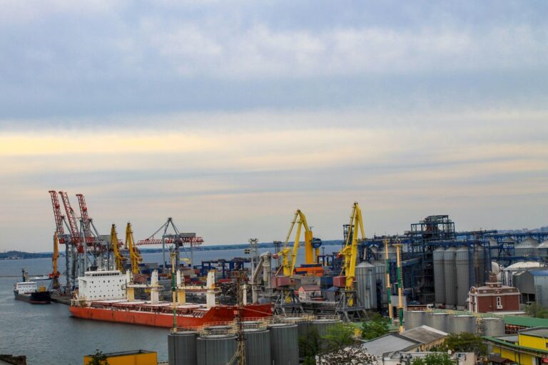 Українські морпорти обробили 40 млн тонн вантажів з початку року