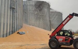 В Україні підрахували втрати сільського господарства від війни