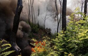 Генштаб розповів про наступальні дії росіян