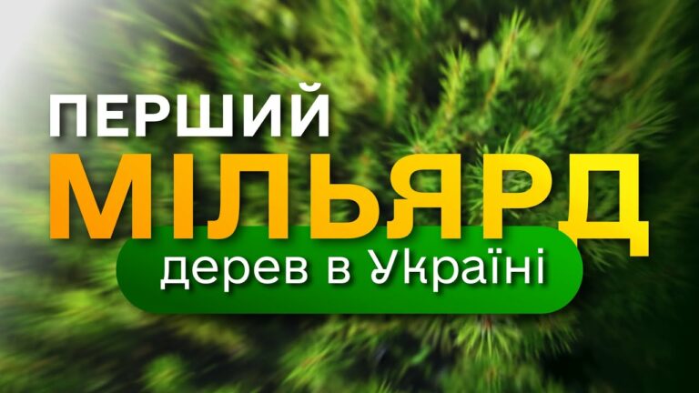 МІЛЬЯРД дерев в Україні / програма Президента ЗЕЛЕНА КРАЇНА / як ДП “Ліси України” вирощує сіянці