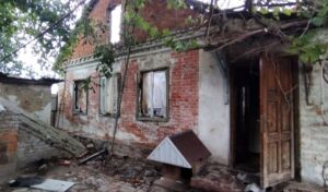 На Дніпропетровщині через обстріл загинула худоба, є постраждалі