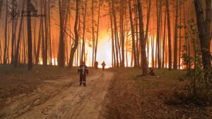 На Харківщині вирують масштабні лісові пожежі