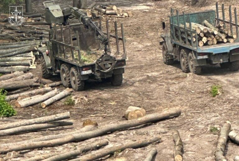 Повідомлено про підозри 13 працівникам Ліси України та ЛІАЦ
