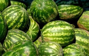 В Україні стрімко знижуються ціни на кавуни