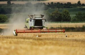 В Україні значно зросла вартість гектара землі