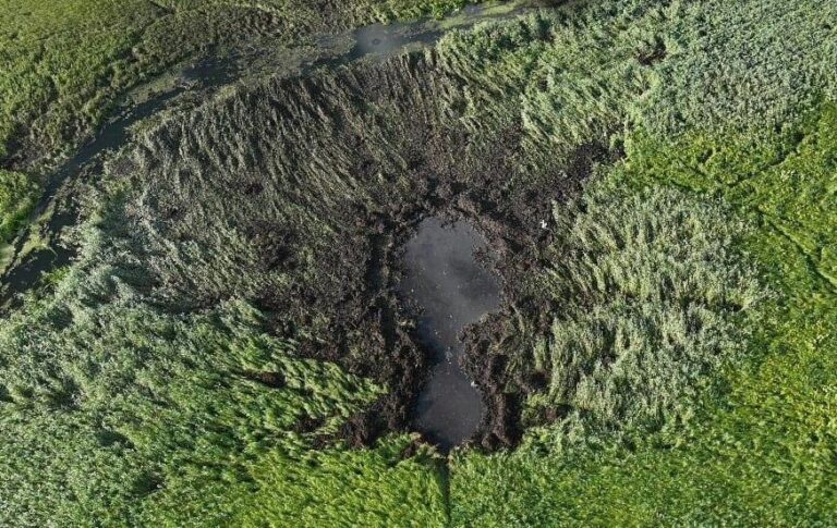 Винищувач Mirage потонув у болоті на Волині – ДБР
