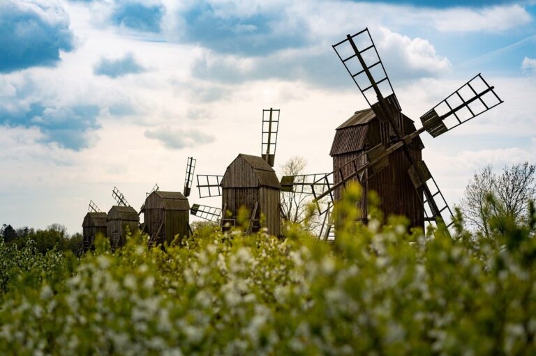 Гороскоп для всіх знаків зодіаку на 20 серпня 2025 року