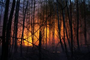 Іспанія у вогні: вирують масштабні лісові пожежі