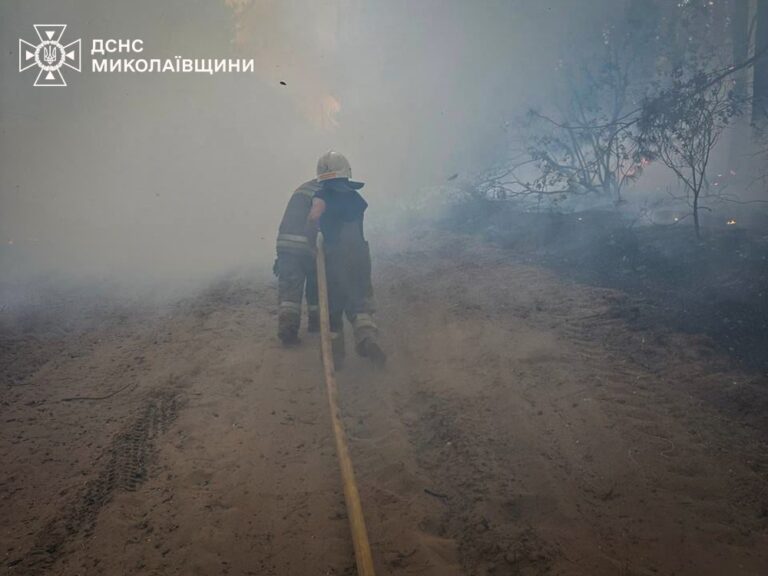 На Миколаївщині вигоріло 93 гектари території