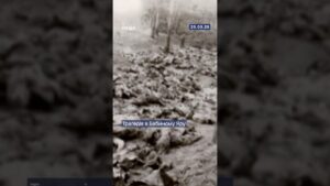 🕯️ Понад 100 тисяч невинних життів забрала трагедія Бабиного Яру.