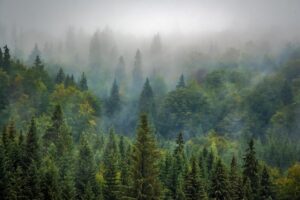 Гороскоп для всіх знаків зодіаку на 5 вересня 2025 року