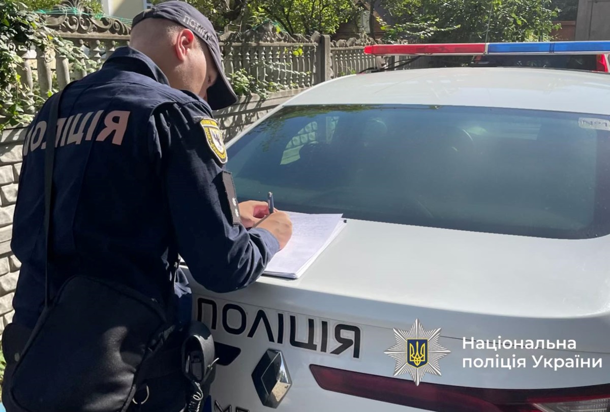 Новини України - На Прикарпатті водій авто в’їхав в отару овець, загинули 28 тварин