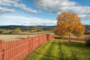 Новини культури - Гороскоп для всіх знаків зодіаку на вихідні 18-19 жовтня 2025 року