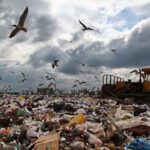 Сміттєвий колапс: Росія потопає у відходах і планує їх вивозити в Україну