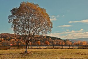 Новини культури - Гороскоп для всіх знаків зодіаку на вихідні 8-9 листопада 2025 року