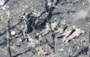 Новини України - Росіяни розстріляли п’ятьох полонених бійців ЗСУ