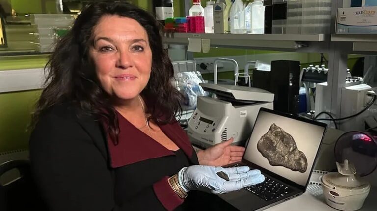 В Естонії знайшли смолу, яку жувала дівчина кам’яної доби