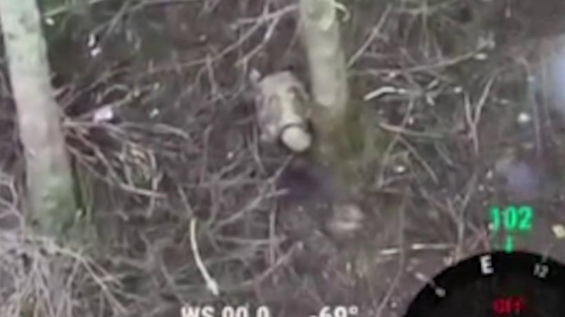 Новини України - Військовий РФ покинув товариша стікати кров’ю на полі бою