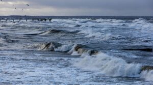 Новини світу - Естонія виявила пошкодження п'яти підводних кабелів