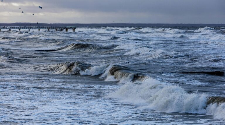 Естонія виявила пошкодження п’яти підводних кабелів