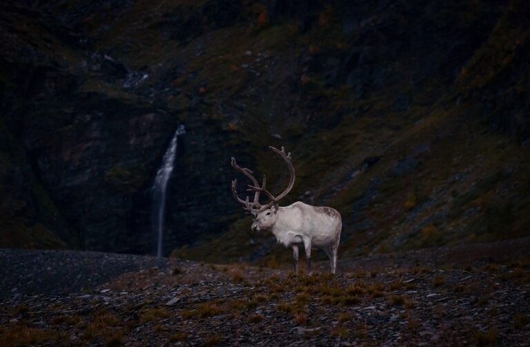 Гороскоп для всіх знаків зодіаку на 17 грудня 2025 року
