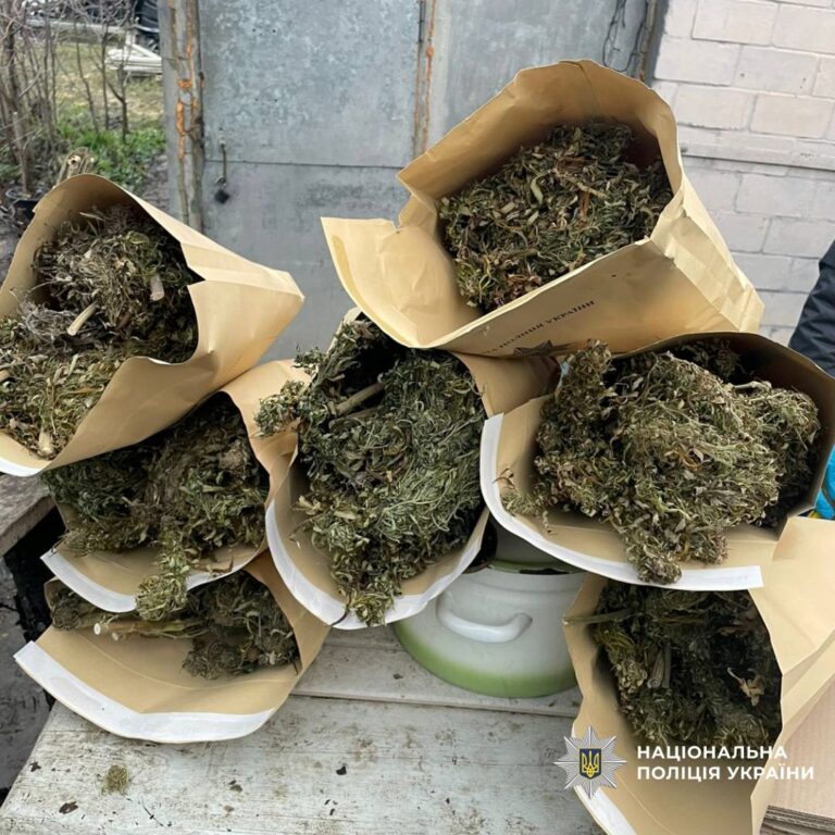 На Харківщині у наркозбувачів вилучили понад 10 кг канабісу