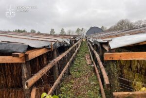 Новини України - На Хмельниччині викрили підпільне виробництво тютюну