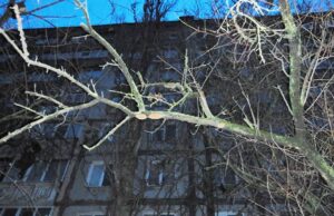 Новини України - Поліціянти розслідують загибель дівчини у заблокованій квартирі Миколаєва