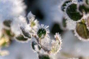 Синоптики розповіли, якою буде погода на Різдво