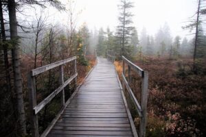 Синоптики розповіли, якою буде погода в Україні на вихідних