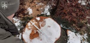 Суд розгляне справу ексочільника ДСНС, який “розчистив” заказник на 7 млн