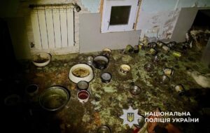 Загибель понад 50 котів на Київщині: стали відомі нові деталі