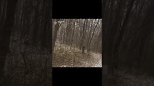 Резонансне вбивство на Харківщині: трьох підлітків засуджено до 12 років ув’язнення