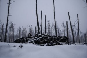 Генштаб оцінив втрати росіян на фронті