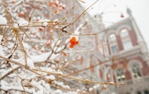 НБУ “спалив” понад $1 млрд для підтримки гривні