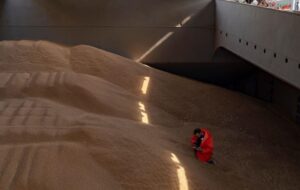 Польща пожалілася в Раду ЄС на агроімпорт з України – ЗМІ