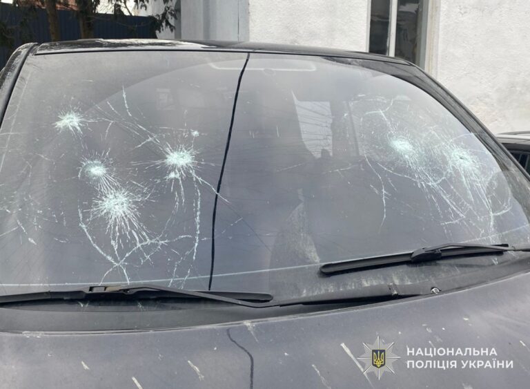 Львівянці, яка стріляла в атобус ТЦК, загрожує до семи років