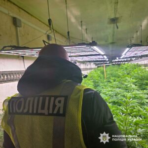 На Черкащині викрили промислову наркоплантацію з сонячними панелями